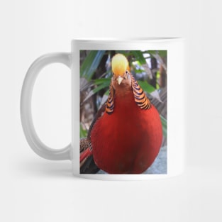 Golden Pheasant Mug